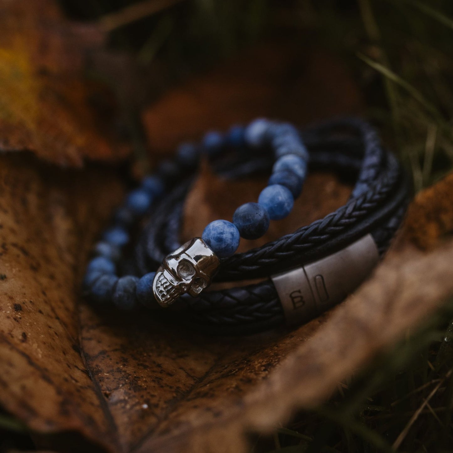 Skull - Matt Navy