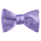 Dion Pre-Tied Bowtie